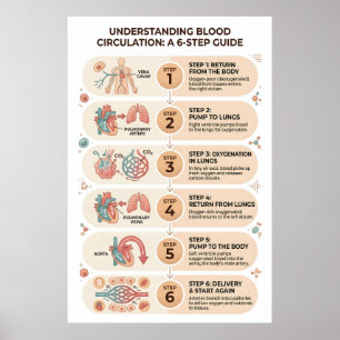 Menschlicher Blutkreislauf: Eine 6-Schritte-Ausbil Poster