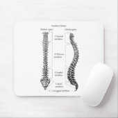 Menschlicher Dorn Mousepad (Mit Mouse)