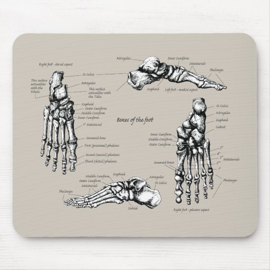 Menschlicher Fuß Mousepad (Vorne)