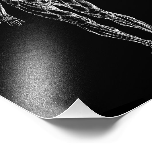 Menschlicher Körper, männliche Anatomie schwarz-we Fotodruck (Ecke)