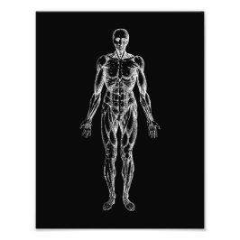 Menschlicher Körper, männliche Anatomie schwarz-we Fotodruck