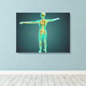 Menschlicher Körper mit Skelettsystem, Artikel 2 Leinwanddruck (Insitu (Holzboden))