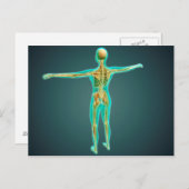 Menschlicher Körper mit Skelettsystem, Artikel 2 Postkarte (Vorne/Hinten)