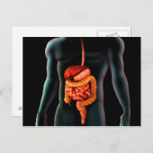 Menschlicher Körper und Verdauungssystem Postkarte (Vorne/Hinten)