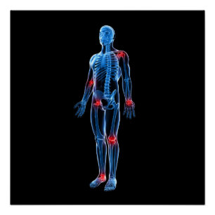 Menschlicher Röntgenstrahl Poster