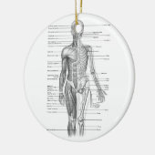 Menschliches Anatomie-Diagramm Keramik Ornament (Links)