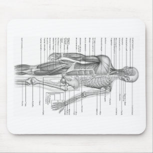 Menschliches Anatomie-Diagramm Mousepad
