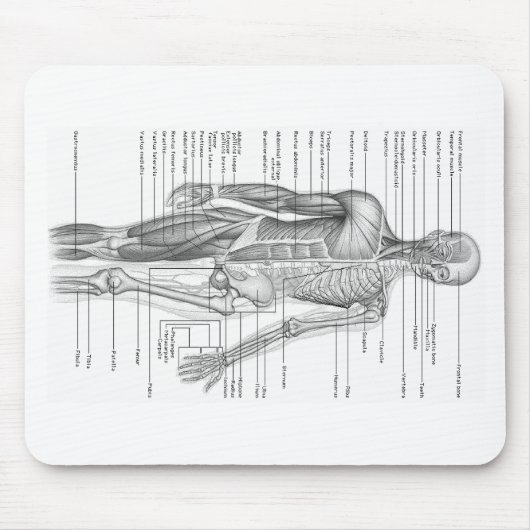 Menschliches Anatomie-Diagramm Mousepad (Vorne)