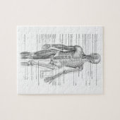 Menschliches Anatomie-Diagramm Puzzle (Horizontal)