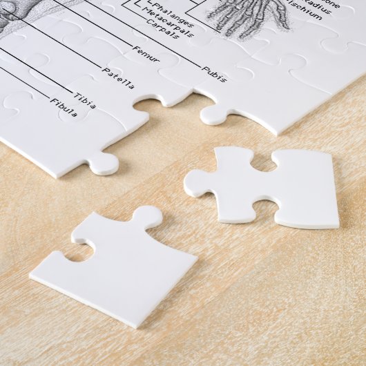 Menschliches Anatomie-Diagramm Puzzle (Seite)