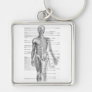 Menschliches Anatomie-Diagramm Schlüsselanhänger