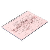 Menschliches Anatomie-medizinisches Notizblock (Linke Seite)