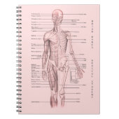 Menschliches Anatomie-medizinisches Notizblock (Vorderseite)