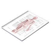 Menschliches Anatomie-medizinisches Notizblock (Linke Seite)