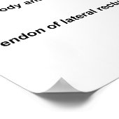 Menschliches Auge Poster (Ecke)