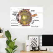 Menschliches Auge Poster (Heimbüro)