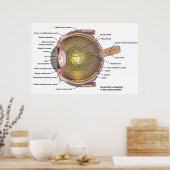 Menschliches Auge Poster (Küche)