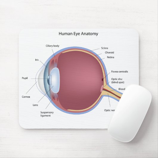 Menschliches Augen-Anatomie Mousepad (Mit Mouse)