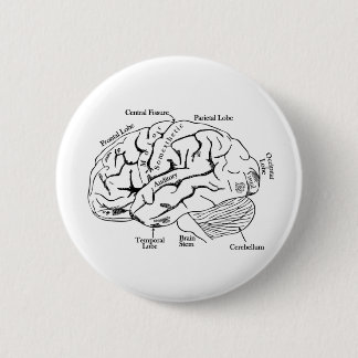 Menschliches Gehirn Button