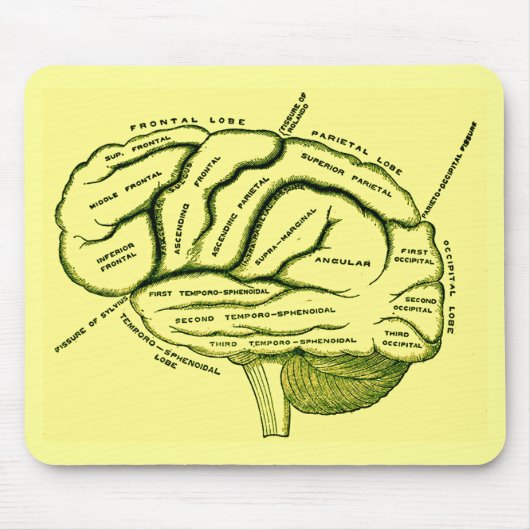 Menschliches Gehirn Mousepad (Vorne)