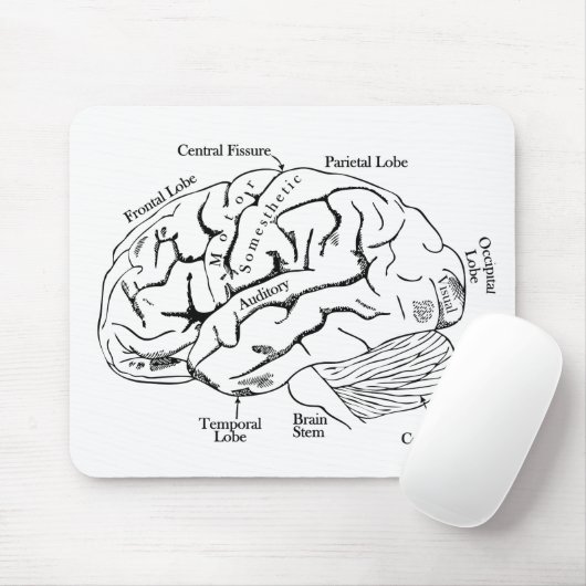 Menschliches Gehirn Mousepad (Mit Mouse)