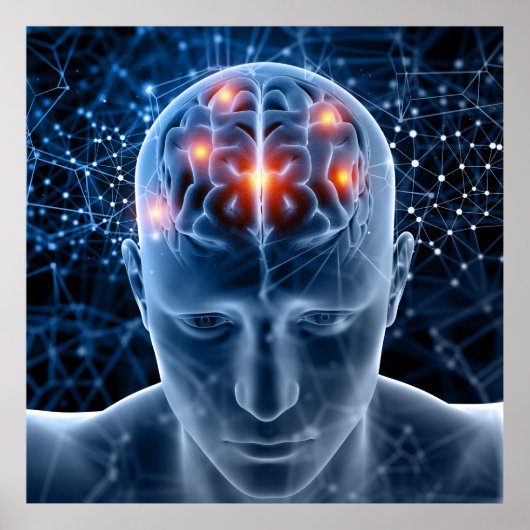 menschliches Gehirn Poster (Vorne)