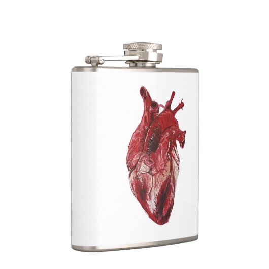 Menschliches Herz Flachmann (Rechts)