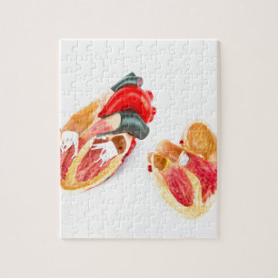 Menschliches Herzmodell abgeschieden auf weißem Puzzle