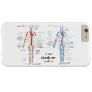 Menschliches Kreislaufsystem der Arterien und der Barely There iPhone 6 Plus Hülle