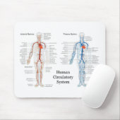 Menschliches Kreislaufsystem der Arterien und der Mousepad (Mit Mouse)