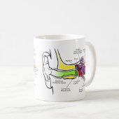 Menschliches Ohr-Diagramm mit dem Cochlear- Kaffeetasse (VorderseiteRechts)