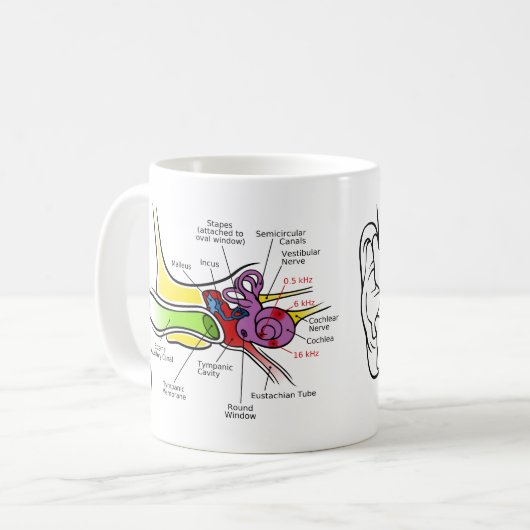 Menschliches Ohr-Diagramm mit dem Cochlear- Kaffeetasse (Vorderseite Links)