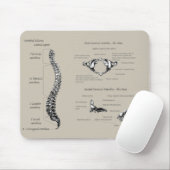 Menschliches Rückgrat Mousepad (Mit Mouse)