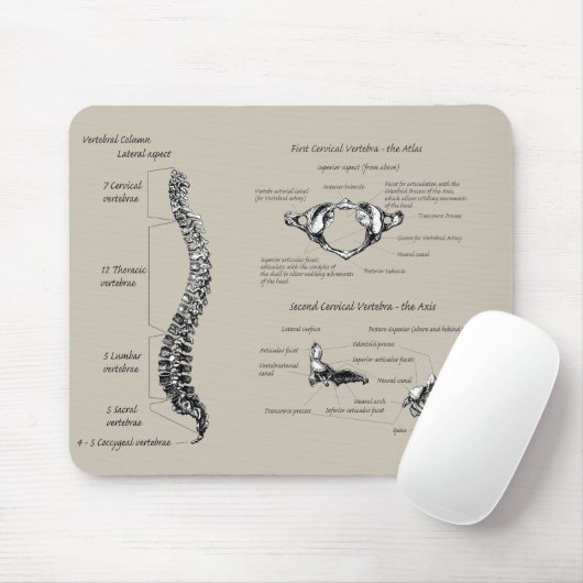 Menschliches Rückgrat Mousepad (Mit Mouse)