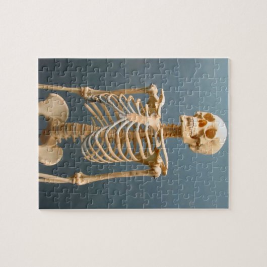 Menschliches Skeleton Puzzlespiel Puzzle (Horizontal)