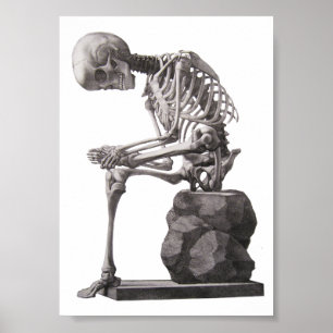 Menschliches Skelett Anatomie Kunst Poster