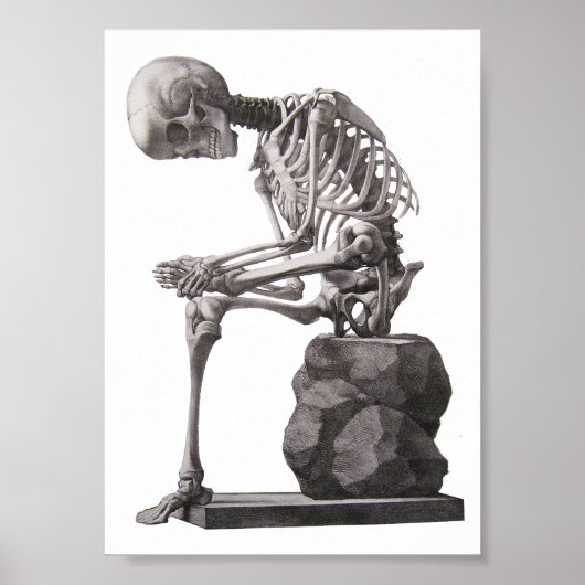 Menschliches Skelett Anatomie Kunst Poster (Vorne)