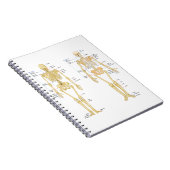 Menschliches Skelett beschriftet Anatomiediagramm Notizblock (Rechte Seite)