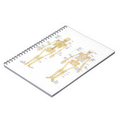 Menschliches Skelett beschriftet Anatomiediagramm Notizblock (Linke Seite)