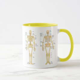 Menschliches Skelett beschriftet Anatomiediagramm Tasse