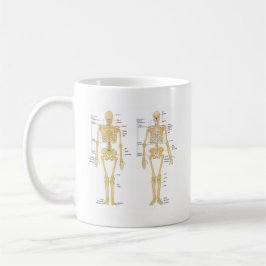 Menschliches Skelett beschriftet Anatomiediagramm Tasse