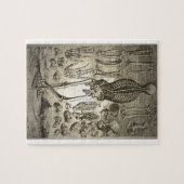 Menschliches Skelett Ca 1741 Puzzle (Horizontal)