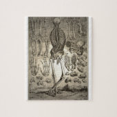 Menschliches Skelett Ca 1741 Puzzle (Vertikal)