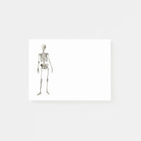 Menschliches Skelett für Junge Mädchen Geburtstags