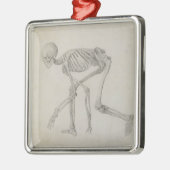 Menschliches Skelett: Seitliche Ansicht in Silbernes Ornament (Links)