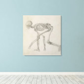 menschliches Skelett: seitliche Sicht in kruschend Leinwanddruck (Insitu (Holzboden))