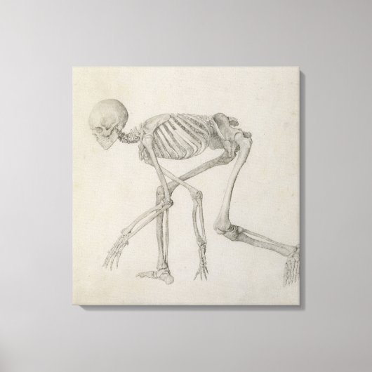 menschliches Skelett: seitliche Sicht in kruschend Leinwanddruck (Vorderseite)