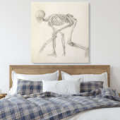 menschliches Skelett: seitliche Sicht in kruschend Leinwanddruck (Insitu (Schlafzimmer))