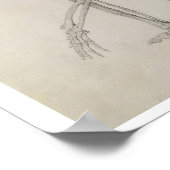 menschliches Skelett: seitliche Sicht in kruschend Poster (Ecke)