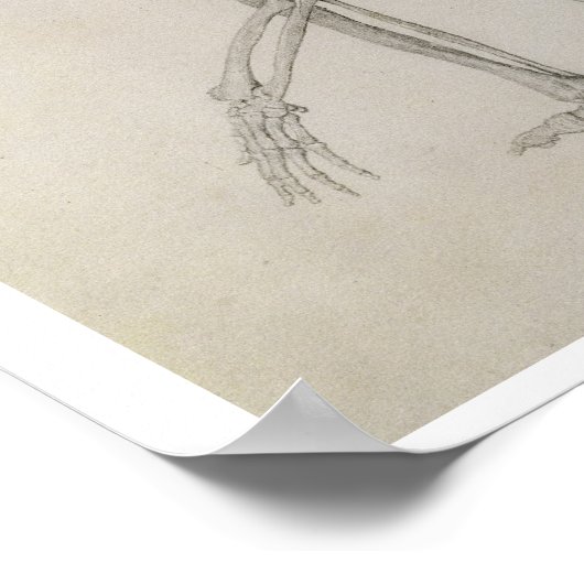 menschliches Skelett: seitliche Sicht in kruschend Poster (Ecke)